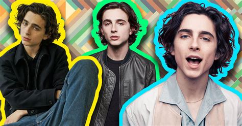 Timothée Chalamet Hair A Character On Their Own Heres How To Get His