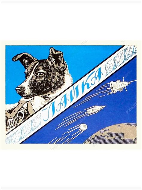 Laika First Space Dog — Soviet Vintage Space Poster For Sale By