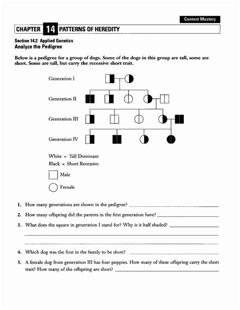 Shade in half of the symbol if you know that the individual is heterozygous or a carier. Genetics Pedigree Worksheet Answers Best Of Worksheet ...