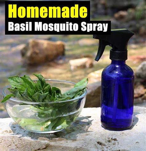 Protect your yard with the best mosquito repellents and bug sprays. Homemade Basil Mosquito Spray - SHTF & Prepping Central