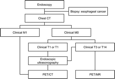 Clinical Implication Of Petmr Imaging In Preoperative Esophageal