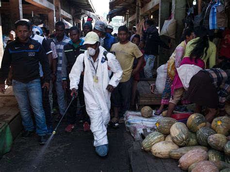 madagascar plague outbreak who helps countries prepare for further spread after death toll