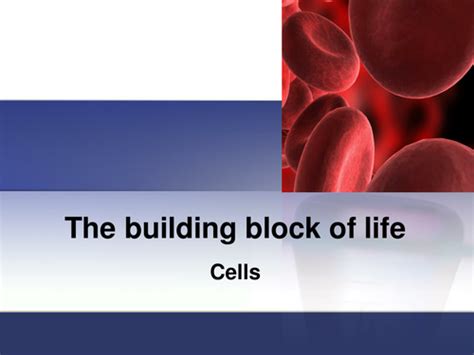 Cells The Building Blocks Of Life Teaching Resources