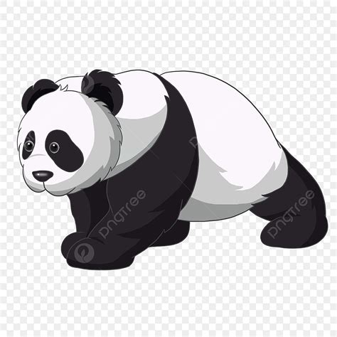 Crawling Panda Clip Art Hand Drawn Panda Lovely Panda Clip Art Png