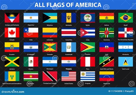 Vlaggen Van Alle Landen Van Amerikaanse Continenten Vlakke Stijl Vector