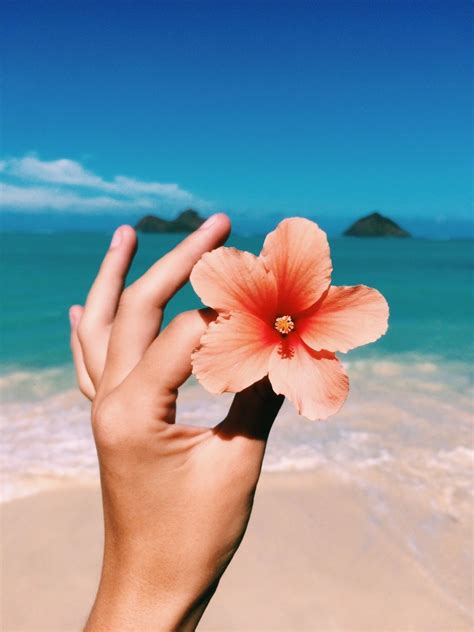 Aesthetic Hawaii Wallpapers Top Free Aesthetic Hawaii Backgrounds