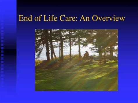 Ppt End Of Life Care An Overview Powerpoint Presentation Free
