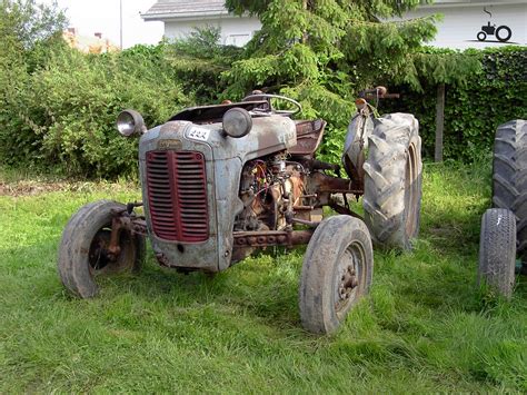 Increase productivity with amazing massey ferguson fe35 available on alibaba.com at unbeatable discounts. Foto Ferguson FE 35 #588690