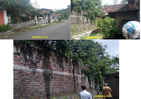 Rumah dijual rumah di jual di kebun jeruk. Jual Kebun dan Rumah di Pinggir Jalan Raya di Kendal Jawa ...