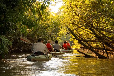 Kayak Tours Through The Amazon Rainforest Ecuador Adventures