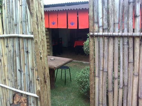 The bamboo garden was designed and planted by martin quigley, former horticulture professor at the ohio state university, and was made possible by bill hendricks of klyn nurseries, who donated the plant materials for the garden. The bamboo fence door