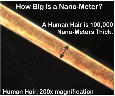 Cell and organelle sizes (micrometers and nanometers). Gold Nanoparticle Cancer Research, How it Works
