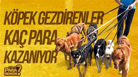 Köpek Gezdirenler Ne Kadar Kazanıyor? - YouTube