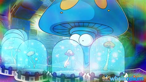 10 Surprising Facts About Magic Mushrooms Did You Know