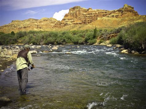 Dubois Wyoming Fly Fishing Guide Wind River Dunoir Fishing Adventures