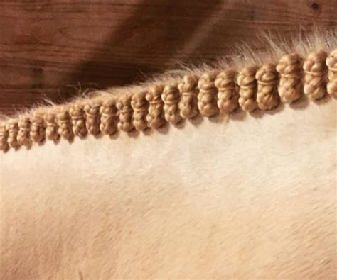 Long and thick hair is prone to knots and tangles. Horse Owners Braid Horse's Manes For This Reason…
