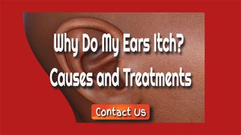 Why Do My Ears Itch Causes And Treatments Of Itchy Ears SYDF