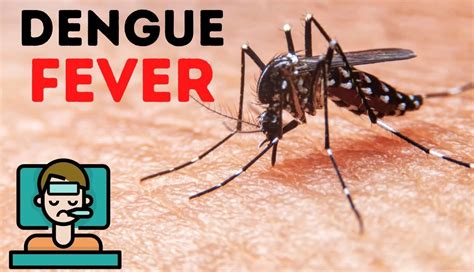 More People Tested Positive For Dengue Asfe World Tv