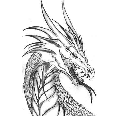 Cabeza De Un Dragón Dibujado A Lápiz Dragones Dibujos Disenos De Unas