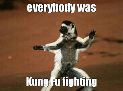 Pin By Carianne Sanders On Memes Kung Fu Fighting Kung Fu Funny