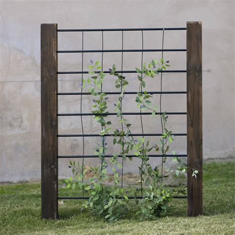 If you're looking for a great way to increase the growing space in your garden, a simple cattle panel trellis does the job just as effectively as these more costly. How to Create Backyard Privacy for Your Outdoor Haven