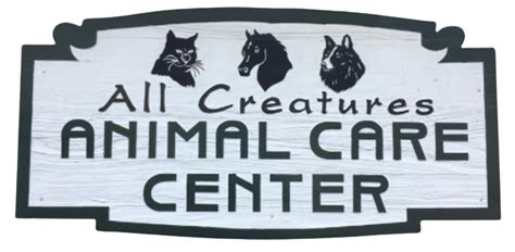 Animal Pre Check Madison Ms All Creatures Animal Care