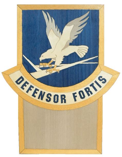 Security Forces Plaque 13 X 10 The Defensor Plaque Is Inlaid With