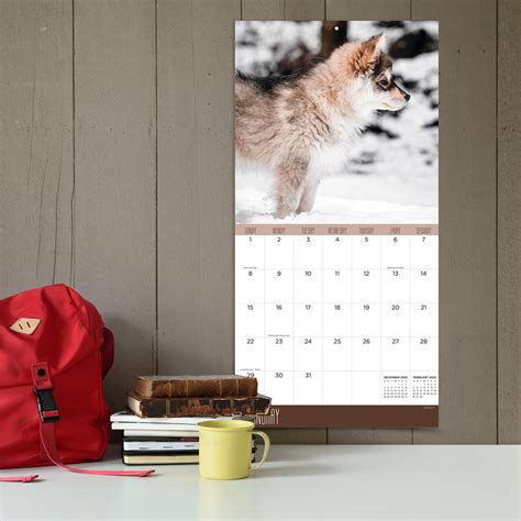2023 Wolves Square Wall Calendar