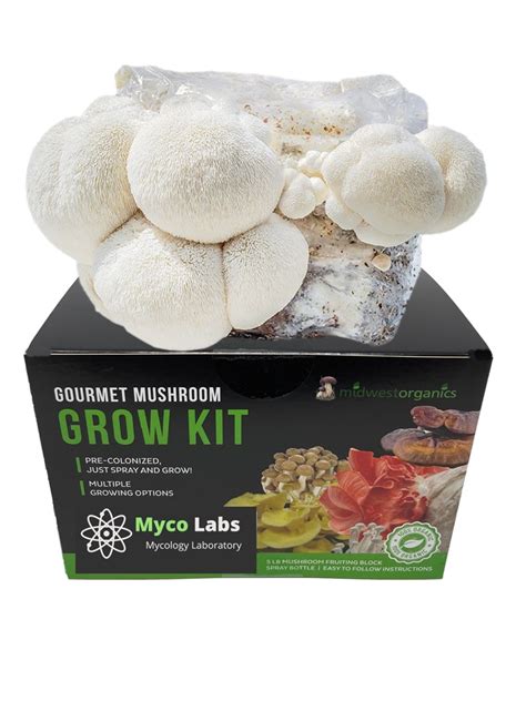 Ready To Grow Gourmet Mushroom Kit 5lbs Your Choice