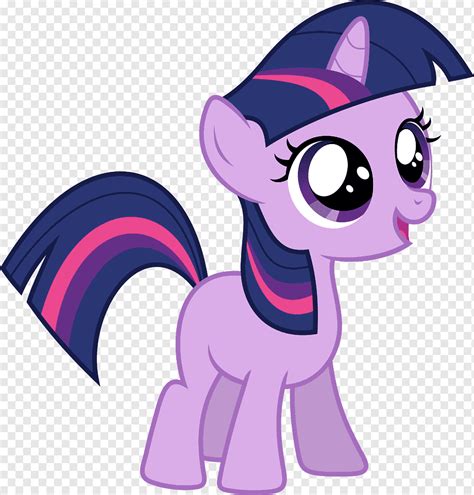 Twilight Sparkle My Little Pony Princess Celestia Rainbow Dash My