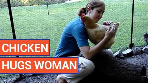 Adorable Chicken Hugs Woman Daily Heart Beat YouTube