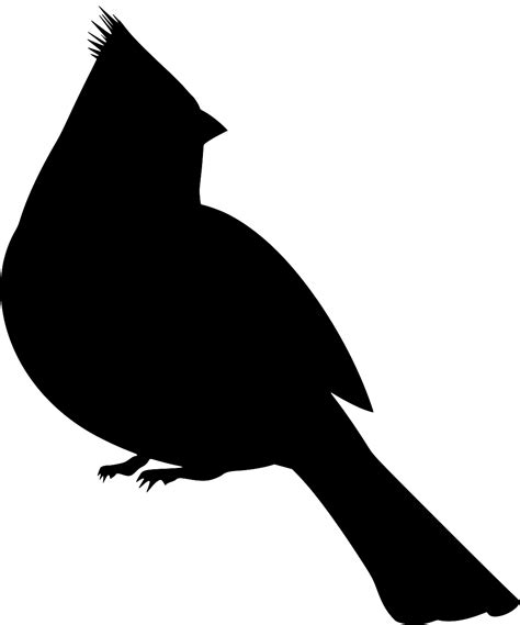 Svg Animal Bird Cardinal Exotic Free Svg Image And Icon Svg Silh