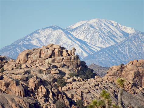 Barker Dam Trail Things To Do Joshua Tree Np Best Hikes Active Tours