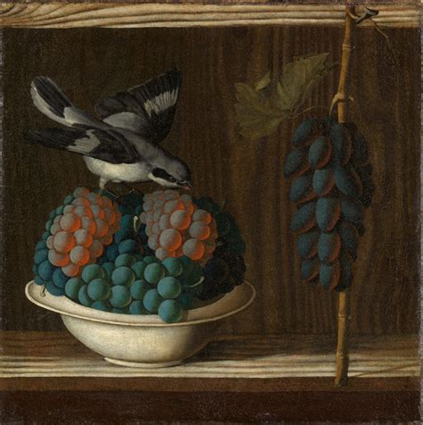 In many places there grows wild grapes. Still Life with Grapes and a Bird: A Remembrance of Things ...