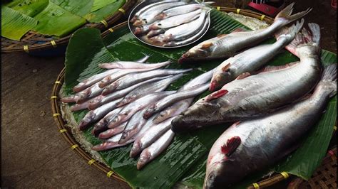 Pad thai with shrimp at asia market thai lao food. Thai Laos Fish Market - Village Street Food - YouTube