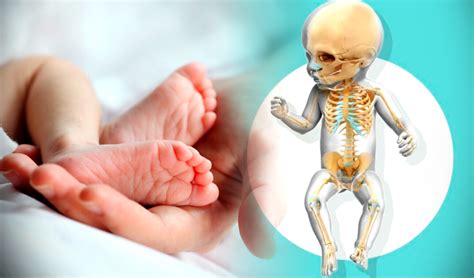 Cuantos huesos tiene un recién nacido Descubre los sorprendentes datos