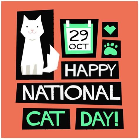 Happy National Cat Day Wishes 2020 For Cat Lovers