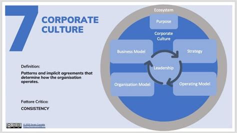 Corporate Culture The Theory And The Practice Sergio Caredda