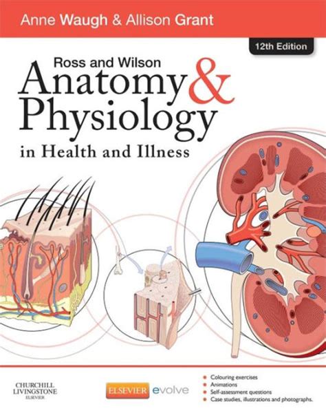 Ross And Wilson Anatomy And Physiology In Health And Illness Edition
