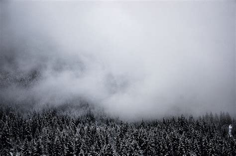 Fog On Behance