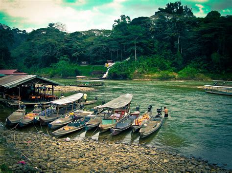 It is famous for its rainforest, birds, and insects. Taman Negara travel guide for first timers - Travel With ...