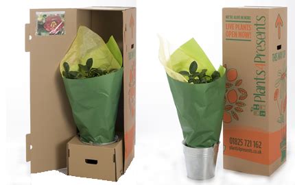 Plus, each garden comes in a pretty planter gift box. We deliver quality plants as gifts across the UK