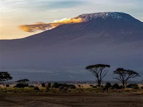 8 Day Mount Kilimanjaro Trek On Northern Circuit Route