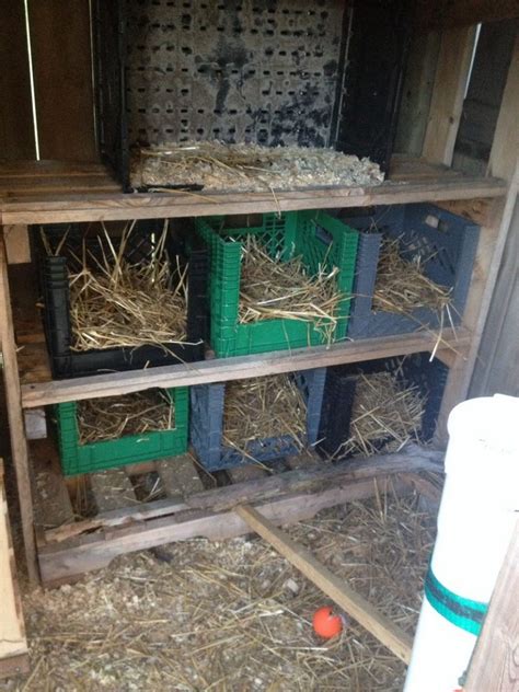 6 Creative Chicken Nesting Box Ideas The Owner Builder Network