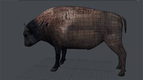 American Bison 3d Model Preview Youtube