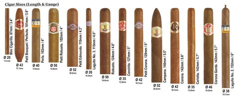 Cigar Size Shape And Color Embassy Cigar Lounge