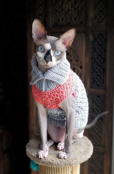 11 Purr Fectly Adorable And Free Crochet Cat Sweater Patterns