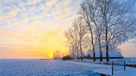 background winter scene 2560x1440 | Winter landscape, Winter sunset ...