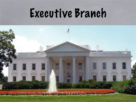 Us Executive Branch