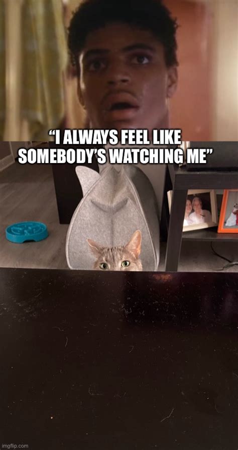 I Always Feel Like Somebody’s Watching Me Cat Imgflip